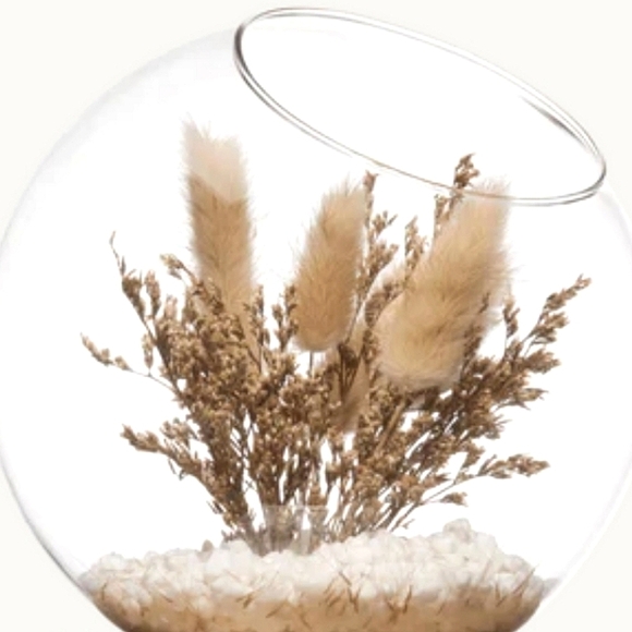 3/$30 Bouclair Terrarium Dried - Picture 4 of 4